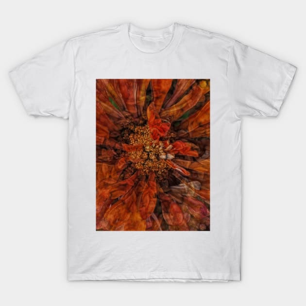 zinnia flower bloom in orange and gold coloured T-Shirt by mister-john